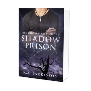 The Shadow Prison: Book Two of the Chosen Chronicles